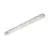 Philips Pantalla LED Estanca WT050C | Apta Para 2x150cm Tubo LED