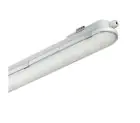 Philips Pantalla LED Estanca CoreLine WT120C 38W 4000lm - 840 Blanco Frio | 120cm - Dali Regulable