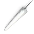 Philips Pantalla LED Estanca CoreLine WT120C Gen2 15W 1900lm - 840 Blanco Frio | 60cm